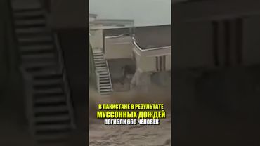 В Пакистане в результате муссонных дождей погибли 660 человек