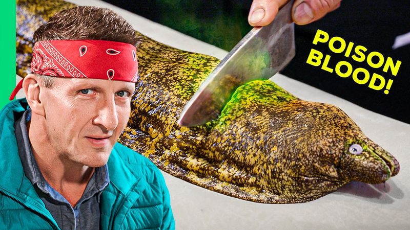 Eating Japan's Most DANGEROUS Fish!! (Armageddon-Level Diarrhea)