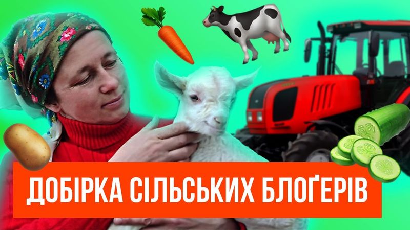 🥕 6 СІЛЬСЬКИХ БЛОҐІВ УКРАЇНСЬКОЮ МОВОЮ