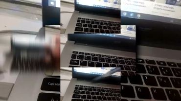 запрос от @ytpmvscans3136: PLPMV VID_20250519_203404 Scan [BrTo]