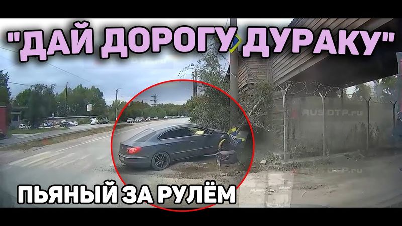 Автоподборка "Дай Дорогу Дураку"🍺Пьяный Водитель#431