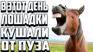 ОНИ ХОТЕЛИ ПОДКРЫСИТЬ, НО КАРМА СРАЗУ ИХ НАКАЗАЛА. ВЛАСТЕЛИН КОЛЕЦ BFME 2 ROTWK ENNORATH MOD