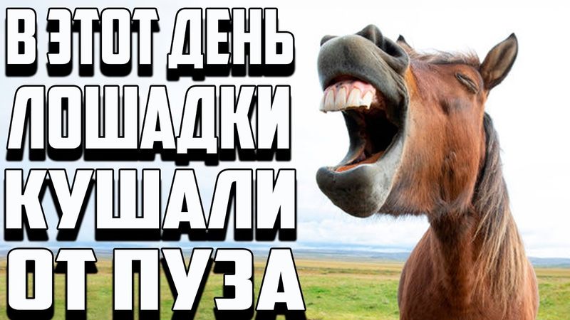 ОНИ ХОТЕЛИ ПОДКРЫСИТЬ, НО КАРМА СРАЗУ ИХ НАКАЗАЛА. ВЛАСТЕЛИН КОЛЕЦ BFME 2 ROTWK ENNORATH MOD