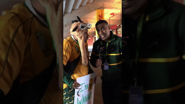 Supporting both the Wallabies and Springboks so you guaranteed to win 😂🙆‍♂️🤔 #springbok #ssrugby