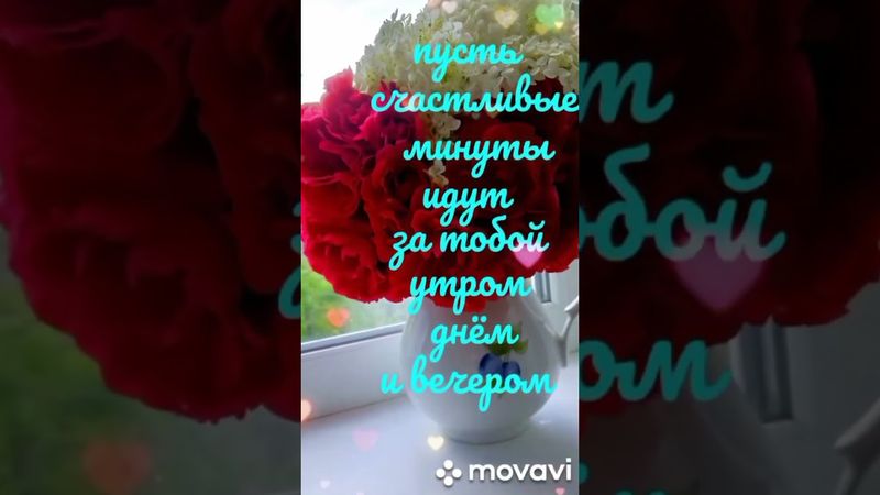 16 ноября 2025 г.