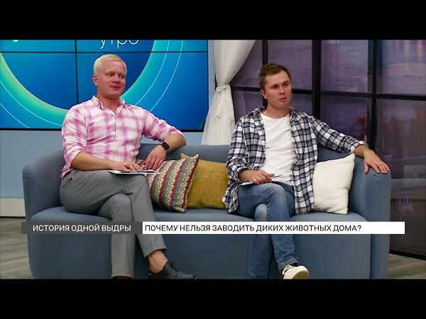 История одной выдры: почему нельзя заводить диких животных дома?