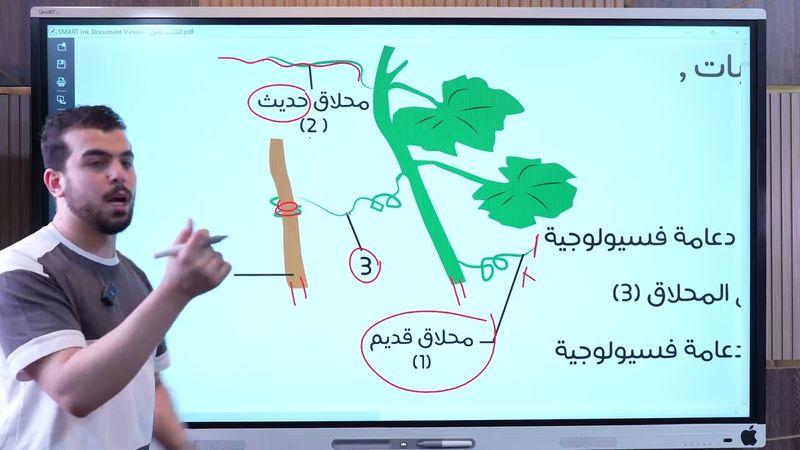 حل كتاب الكورس علي الحركة في الإنسان والنبات