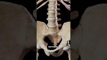 Откуда появляется кровь?