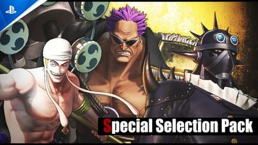 One Piece: Pirate Warriors 4 - Character Pack No. 8 Special Selection Pack | PS5 & PS4 Games