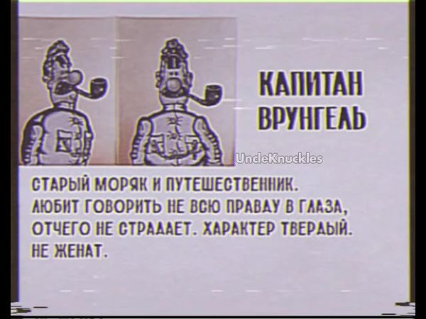 КАПИТАН ВРУНГЕЛЬ. Досье