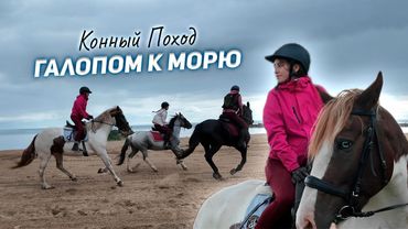 Конный поход к морю / 5 часов верхом / ВЛОГ