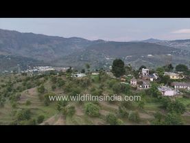 Almora, Matela, Channa villages aerial view Kumaon hills Uttarakhand, forest fire & terraced fields