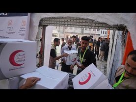 At least 20 killed in stampede at Gaza distribution site, US aid group says