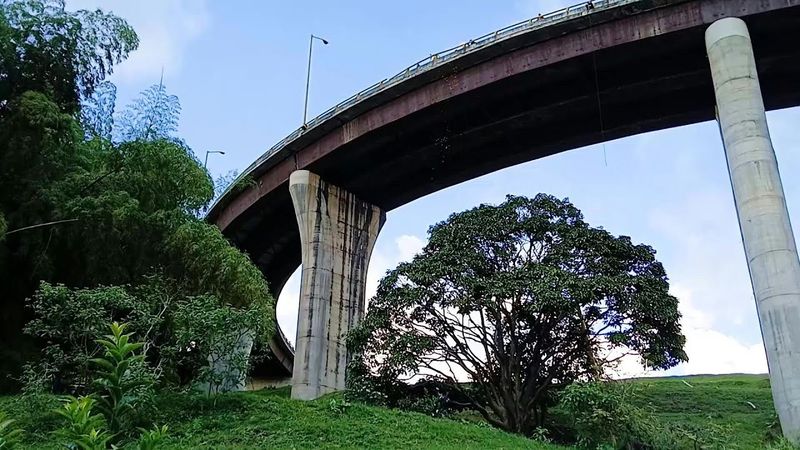 Aftermath of bus accident that killed nine in Colombia | AFP