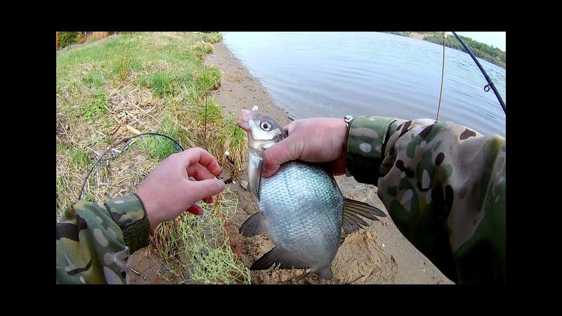 ДОНКИ СРАБОТАЛИ.ЛОВЛЯ ЛЕЩА НА ПЕНОПЛАСТ.РЫБАЛКА НА ВОЛГЕ.