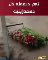 TikTok video #7581847800074358024