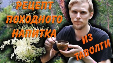 Походный ЧАЙ из ТАВОЛГИ / Spiraea tea