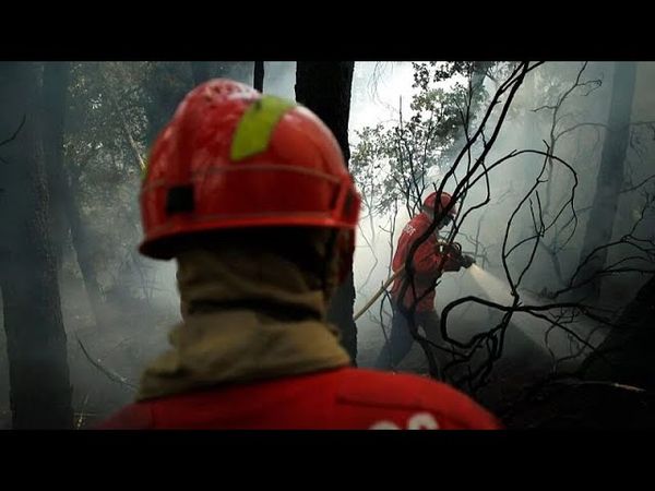 More than 1,000 firefighters battle three major blazes in Portugal