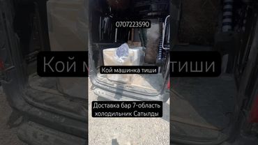 Кой тиш Сатылды