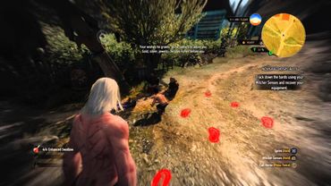 The Witcher 3: Hearts of Stone Childrens song polish