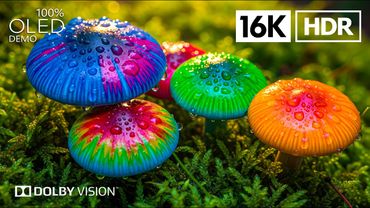Jaw-Dropping OLED TEST Dolby Vision - 16K HDR Video ULTRA HD 120 FPS