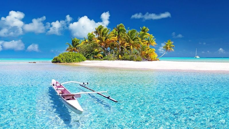 Calma la tua mente con una bella musica rilassante e una natura