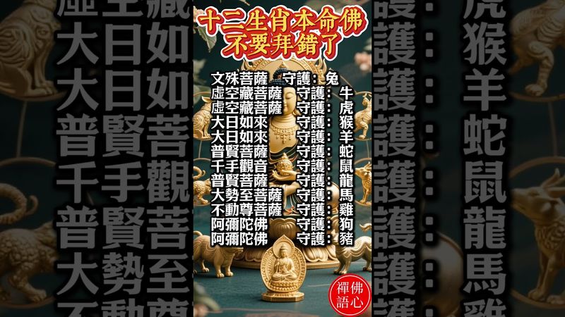 【十二生肖本命佛 不要拜錯了】#生肖 #十二生肖 #運勢 #生肖運勢 #玄學 #風水 #命理 #shorts #人生感悟 #易经 #生肖命理 #正能量 #国学文化