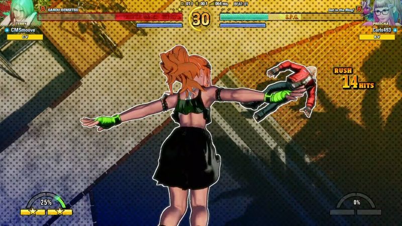 Fatal Fury: City of the Wolves: Match #143 (Ranked): Carls493 (Preecha) Vs. CMSmoove (Terry)