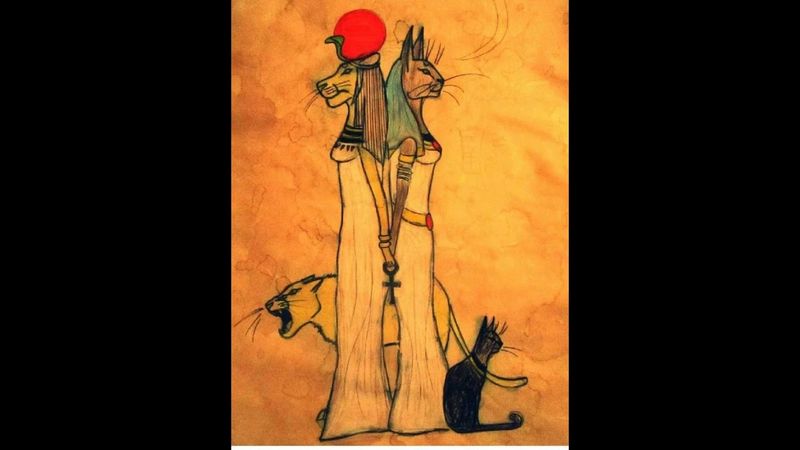 Пилот  - Диаблеро