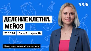 Деление клетки. Мейоз | Биофак 2025 | Урок 20