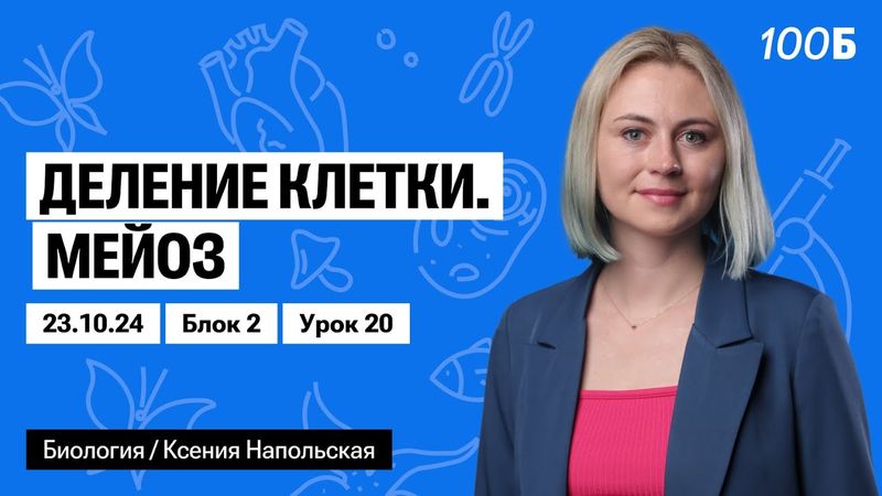 Деление клетки. Мейоз | Биофак 2025 | Урок 20