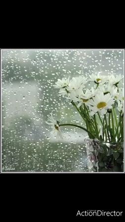 счастья, вам в любую погоду