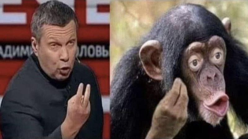 Сірий настрій? Ці мемчики — як промінь сонця у вікні ☀️💛