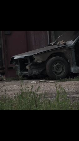 тысячи птиц надо мною летают…