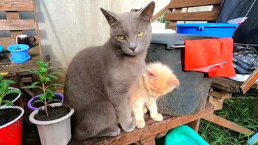 #Славянск. 24 августа 2025г. Утро.