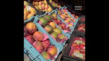 تكدس المانجو في أسواق صنعاء مع انعدام القدرة الشرائية لدى المواطنين