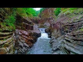 Experience the Secrets Forest / Nature / Waterfalls / Free HD/4K footage - No Copyright Videos.