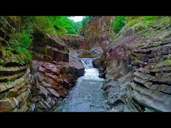 Experience the Secrets Forest / Nature / Waterfalls / Free HD/4K footage - No Copyright Videos.