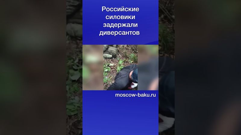 Российские силовики задержали диверсантов
