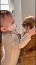 #pets #fyp #cat #baby 