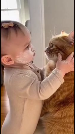 #pets #fyp #cat #baby 