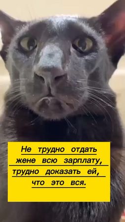 #напозитиве💥🔥🔥 #анекдоты😁приколы😄юмор😅 #юмор #врек