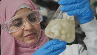 Морской грибок поможет эффективно бороться с пластиковыми отходами