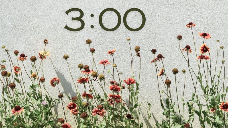 3 Minute Countdown Timer - Relaxing Piano Music