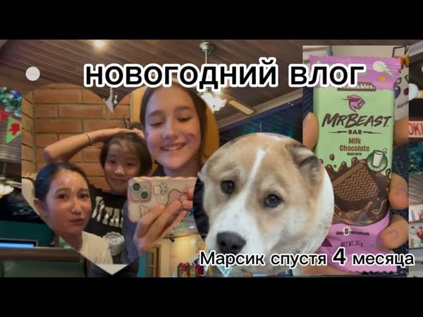Новогодний Влог/Марсик спустя 4 месяца/Альбина/Шоколад Мистера Биста/мои будни #влог