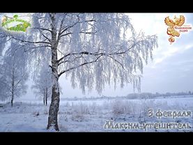 Братья месяцы   3 февраля Максим утешитель