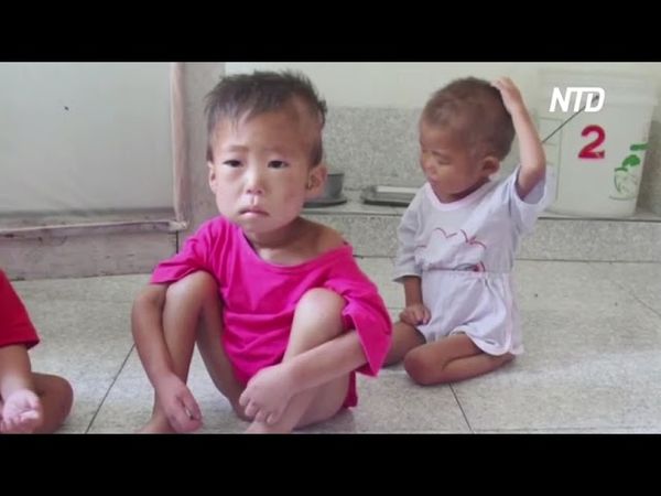 ООН: Нарушения прав человека в КНДР продолжаются