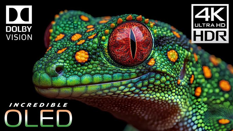 World's Most Incredible 4K VIDEOS | 4K HDR 60fps - Dolby Vision