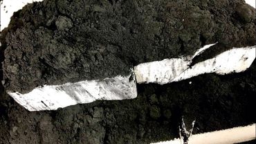 Charcoal Plain Jane Crush 🖤☁️🐈‍⬛| Black and White 🖤🤍| Full Box of Gym Chalk 🐈‍⬛