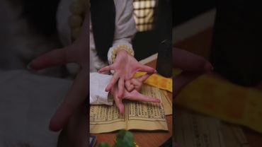 《金龟入海》如鱼得水！海阔天空！接了！转发！功德无量！#正能量 #人生感悟 #国学文化 #道家文化 #民间文化  #传统文化 #道家金句 #手印 #发财 #转运 #顺风顺水